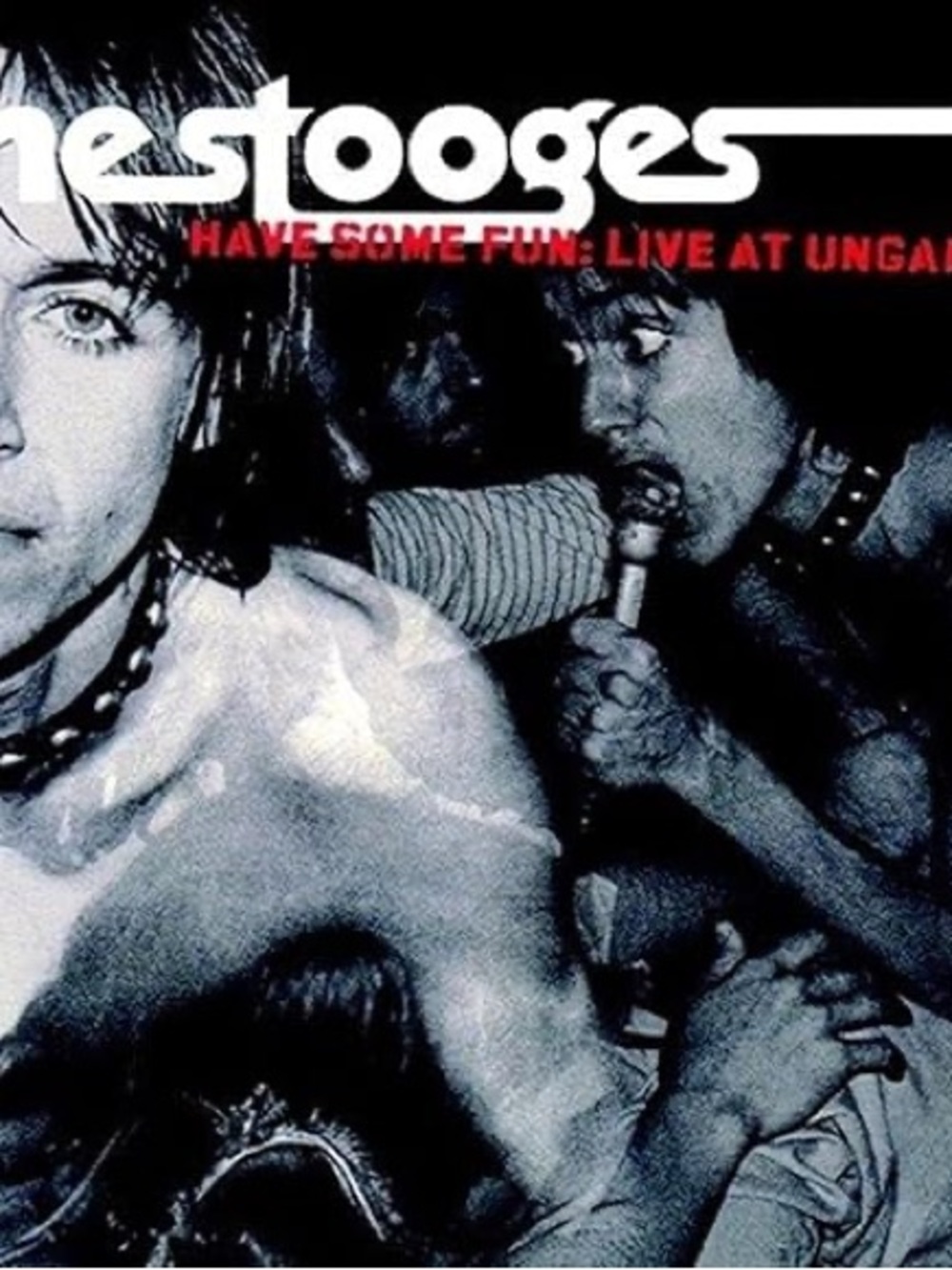 The Stooges "Have Some Fun: Live at Ungawa" CD